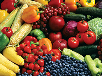 Foods up for shelf life testing services